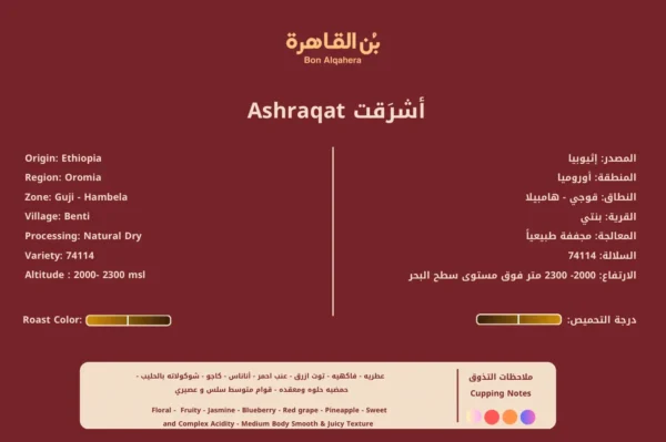 ⁦أشرَقت⁩ - الصورة ⁦3⁩