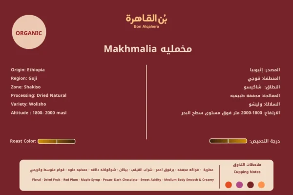 ⁦مخمليه⁩ - الصورة ⁦3⁩